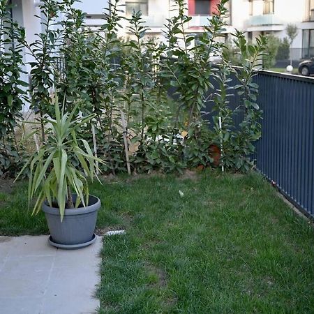 #Minehouse Leilighet Timişoara Eksteriør bilde