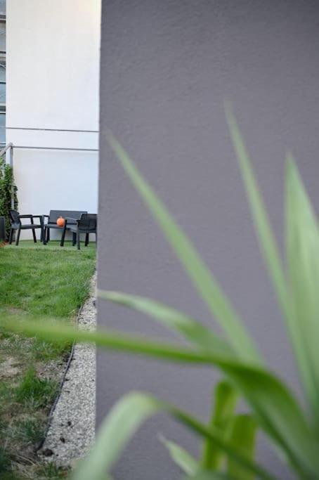 #Minehouse Leilighet Timişoara Eksteriør bilde
